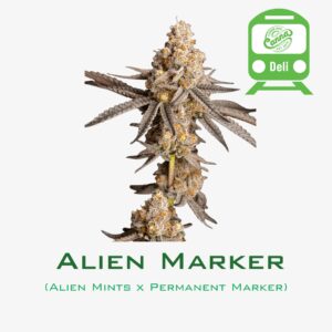 Alien Marker | Deli Flower