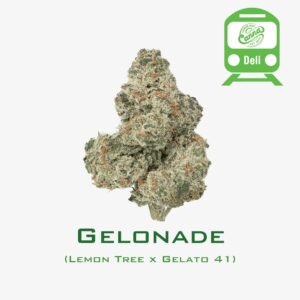 Gelonade | Deli Flower