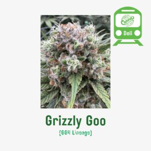 Grizzly Goo | Deli Flower