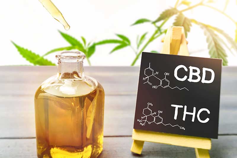 difference between cbd and thc