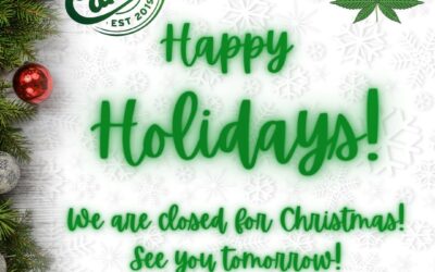 Happy Holidays from Comm Ave Canna!️ We’re closed for Christmas, but we’ll be back tomorrow at 10am to continue spreading good vibes & green cheer. See you soon! #Boston #Brookline #happyholidays #MerryChristmas #Cannabiscommunity #Massachusetts #supportlocal #BostonChristmas #SeasonsGreetings #CannabisHoliday #ClosedForChristmas #GreenCheers #HolidazeVibes #BackTomorrow #commavecanna