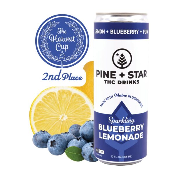 Blueberry Lemonade | Beverage | 5mg