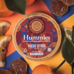 Focus Mango Citrus SATIVA | Hash Rosin Gummies | 100mg