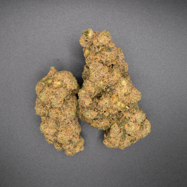 Lava Cake | Flower | 1.g