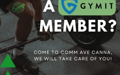 After your workout at @gymit, make your way over to Comm Ave Canna to relax & recover! We ensure that all Gymit members are well taken care of!  #Commavecanna #Boston #Brookline #dryjanuary #dryjanuary2024 #Postgymmood #Cannabiscommunity #relaxtime #Restore #Recover #postgymvibes #gymit #workhardplayhard #Postgymsession #postgymsessionrecovery #commavecanna