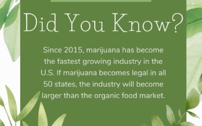 Blazing a trail since 2015! Did you know that marijuana has become the fastest-growing industry in the US? Imagine the potential if it’s legalized nationwide – it could surpass the organic food market! #Funfacts #didyouknow #boston #Brookline #Commavecanna #education #cannabiscommunity #commavecanna