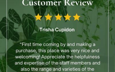 Here’s what our customers are saying about their experience with us! #commavecanna #5starreview #boston #brookline #googlereviews #cannabiscommunity #familyowned #supportlocal #supportsmallbusiness #bostonsmallbusiness #commavecanna