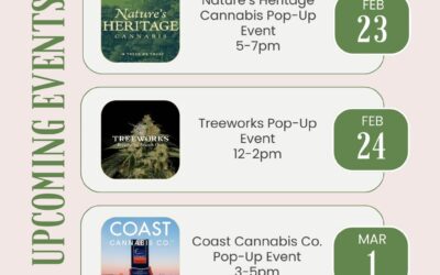 Come join us for our upcoming cannabis pop-up events @commavecanna  Stop by for an immersive educational experience with @naturesheritage_ @treeworksma & @coastcannaco ! Discover the magic of cannabis with product showcases, good vibes, free swag, and more. Don’t miss out! #commavecanna #popup #boston #cannabiscommunity #familyownedbusiness #brookline #visitboston #smallbusiness #commavecanna