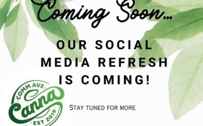 Exciting times ahead! Our Social media refresh is on the way. Stay tuned for a fresh new look coming soon to @commavecanna  #Socialmedia #CannaLove #Commavecanna #familyowned #boston #brookline #commavecanna