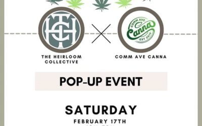 Join us this Saturday for a popup with The Heirloom Collective! #commavecanna #education #boston #brookline #popups #cannabiscommunity #visitboston #bostonma #familyowned #commavecanna