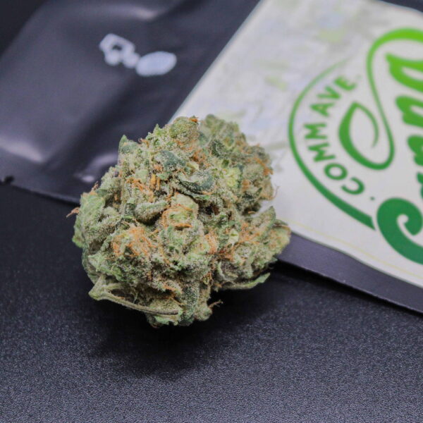Alpine Guava | Flower | 7g