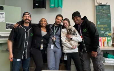 Sometimes Mickey comes to work with the Sunday crew😎️ #commavecanna #boston #brookline #visitboston #happysunday #bostonMA #cannabiscommunity #teamwork #commavecanna