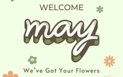 Looking for May Flowers? Comm Ave Canna, has you covered! #MayFlowers #Cannabis #Brookline #Dispensary #FamilyOwned #commavecanna