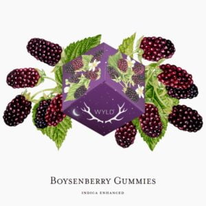 Boysenberry 1:1:1 CBD:CBN (INDICA) | Gummies | 100mg