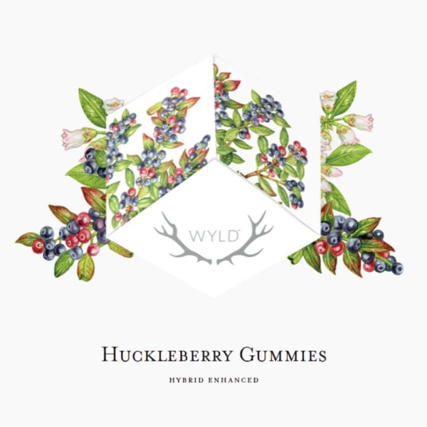 Huckleberry (HYBRID) | Gummies | 100mg