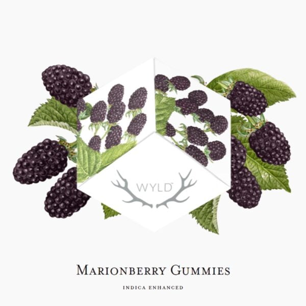 Marionberry (INDICA) | Gummies | 100mg