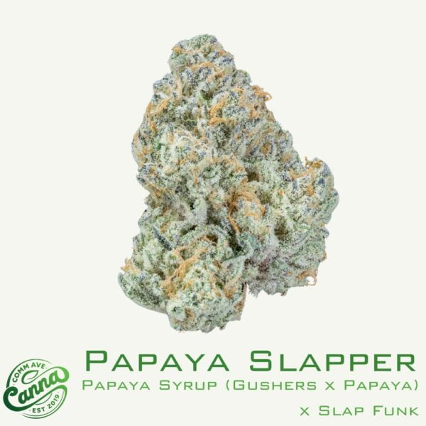 Papaya Slapper | Flower | 28g