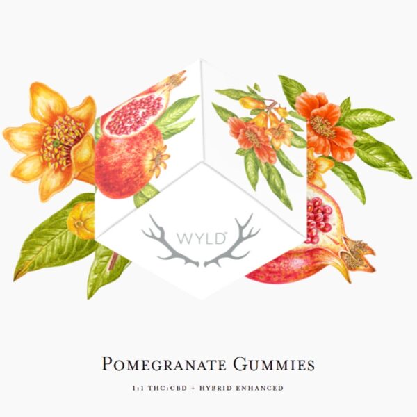 Pomegranate 1:1 CBD (HYBRID) | Gummies | 100mg