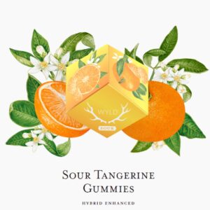 Sour Tangerine (HYBRID) | Gummies | 100mg