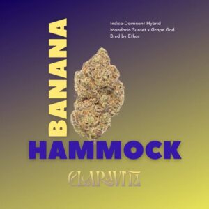 Banana Hammock | Flower | 3.5g