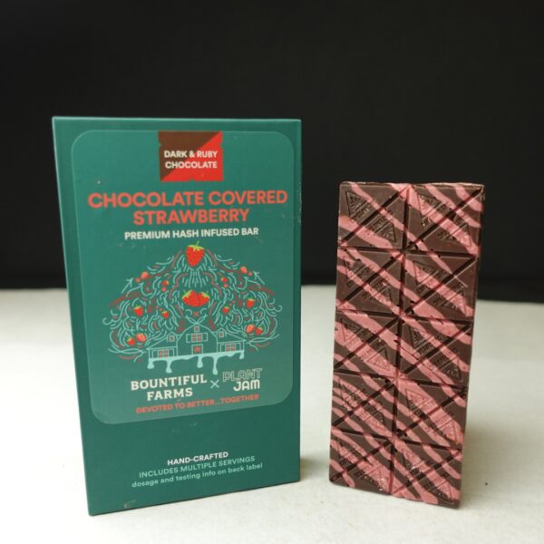 Chocolate Covered Strawberry Bar | Chocolate | 100mg