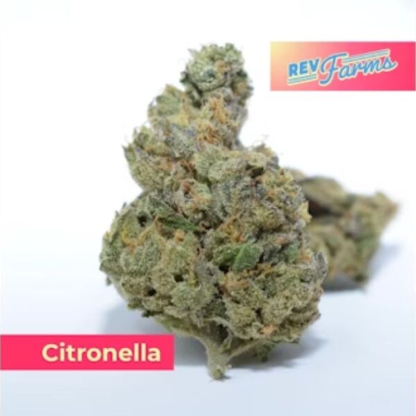 Citronella | Flower | 3.5g