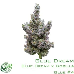 Glue Dream | Flower | 14g