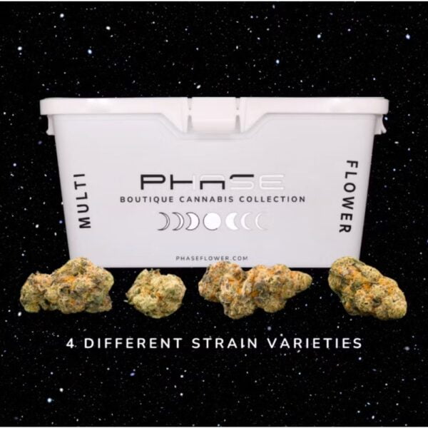 Phase Flower Cube (4-Strain Variety Pack) | Flower | 14g