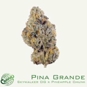 Pina Grande | SHAKE | 14g