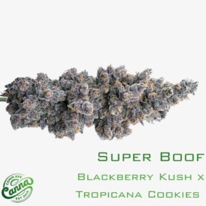 Super Boof | Flower | 14g