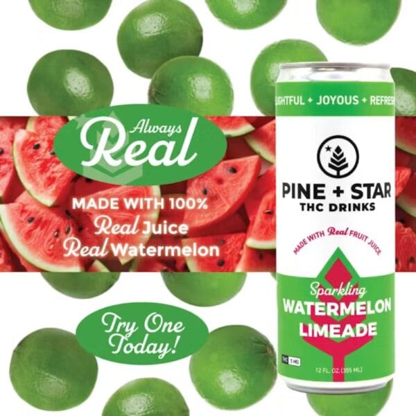 Watermelon Limeade | Beverage | 5mg