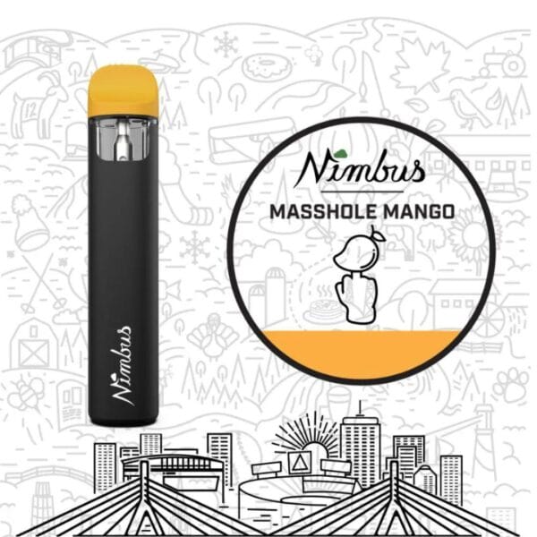 Masshole Mango Haze | Distillate Disposable | 1g