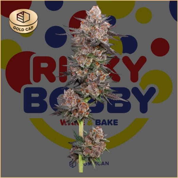 Ricky Bobby | Flower | 3.5g