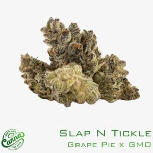 Slap N' Tickle | SHAKE | 14g