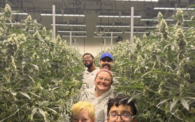 Team field trip! Our budtenders toured the Harbor House facility in Chelsea, MA, to learn how their top-notch products come to life. Huge thanks to Harbor House for the insight!  #CommAveCanna #BudtenderLife #cannabiscommunity #harborhousegrow #commavecanna