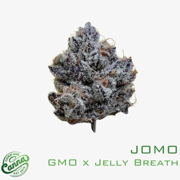 GMO x Jelly Breath | Premium Flower | 3.5g