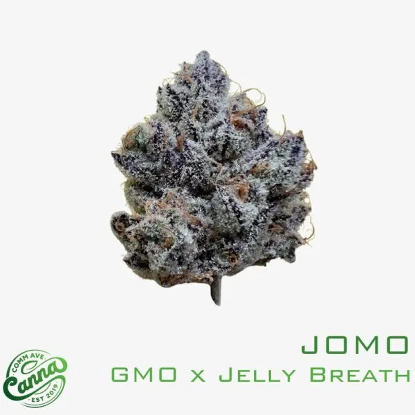 邦楽 DJ MARIJUANA febb YAKUBUTSU SOUL 3 Buy Coco Bubble F6 Cannabis Seeds Online – DJ Short