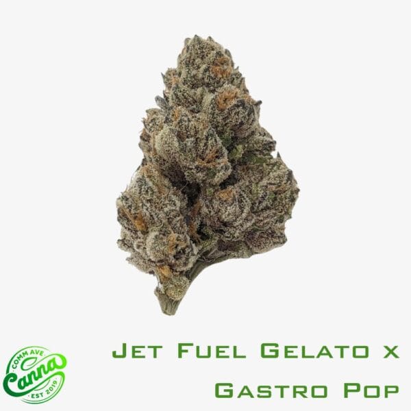 Jet Fuel Gelato x Gastro Pop | Flower | 14g