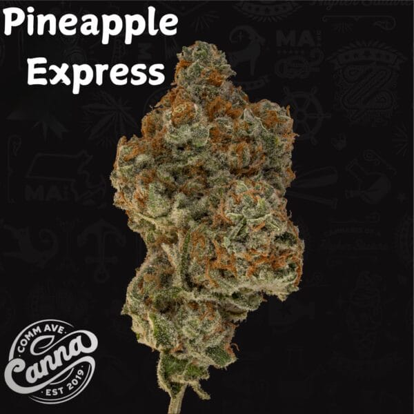 Pineapple Express | Premium Flower | 14g