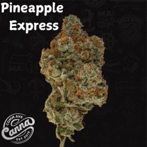 Pineapple Express | Premium Flower | 7g