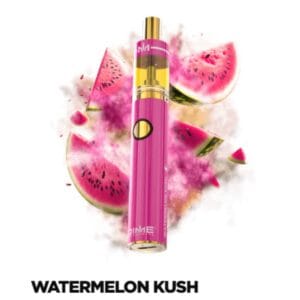 Watermelon Kush | Distillate Disposable | 2g