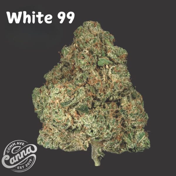 White 99 | Flower | 14g