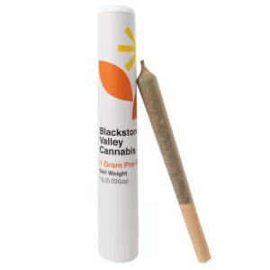 Stay Puft | Pre-roll | 1g