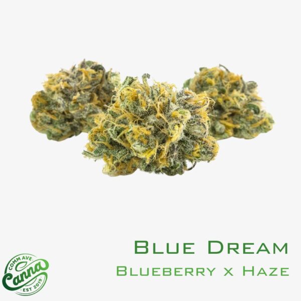 Blue Dream | Flower | 28g