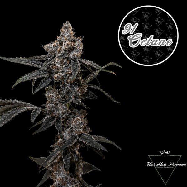 91 Octane | Flower | 3.5g
