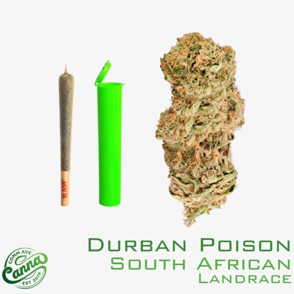 Durban Poison | Premium Pre-Roll | 1g
