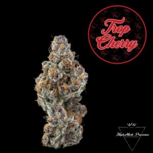Trop Cherry | Flower | 3.5g