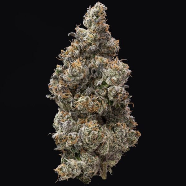 Bananaconda | Flower | 3.5g