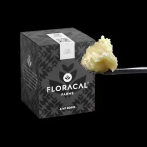 Chocolate OG | Live Rosin | 0.5g