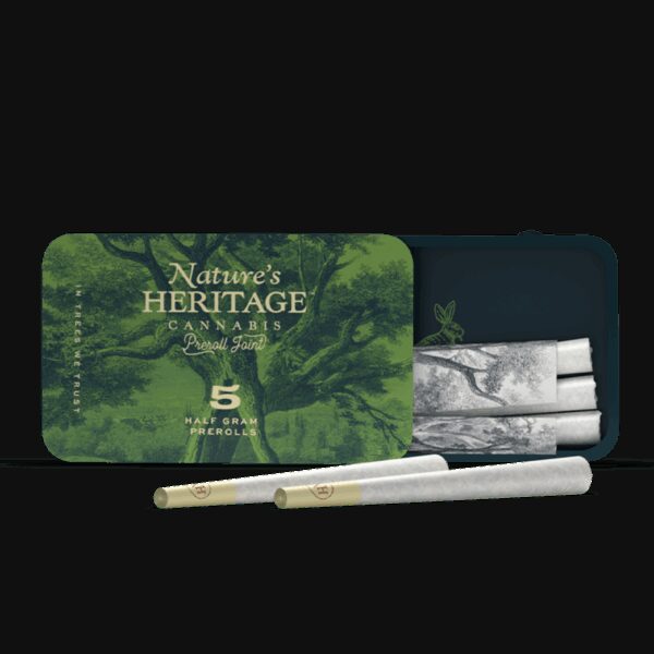 Governmint Oasis | Pre-Roll 5pk | 2.5g